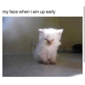 Meet your Posher, Karyn